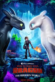 3. How to Train Your Dragon 3 The Hidden World (2019) Dual Audio [ENGLISH ORG & Hindi] HEVC 480p, 720p & | GDRive fmmbd.com