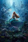 The Little Mermaid (2023) Dual Audio Hindi – Full Movie Download & Watch FREE – .