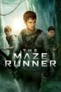 The Maze Runner (2014) Dual Audio [ENGLISH ORG & Hindi] HEVC 480p, 720p & 1080p | GDRive fmmbd.com
