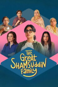 The Great Shamsuddin Family (2025) [Hindi HQ Dub] WEB-DL 480p, 720p & 1080p | GDRive fmmbd.com