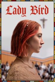 Lady Bird (2017) Dual Audio [ENGLISH ORG & Hindi] HEVC 480p, 720p & 1080p | GDRive fmmbd.com