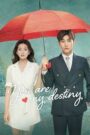 You Are My Destiny (2020) Season 1 – Episodes 1–20 Zip Complete Dual Audio [Korean ORG & Hindi] HEVC 480p, 720p & | GDRive fmmbd.com