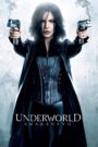 4. Underworld: Awakening (2012) Dual Audio [ENGLISH ORG & Hindi] HEVC 480p, 720p & 1080p | GDRive fmmbd.com