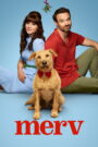 Merv (2025) Dual Audio [ENGLISH ORG & Hindi] HEVC 480p, 720p & 1080p | GDRive fmmbd.com