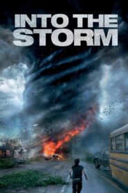 Into the Storm (2014) Dual Audio [ENGLISH ORG & Hindi] HEVC 480p, 720p & 1080p | GDRive fmmbd.com