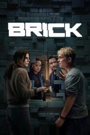Brick (2025) Dual Audio [ENGLISH ORG & Hindi] HEVC 480p, 720p & 1080p | GDRive fmmbd.com