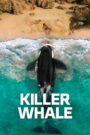 Killer Whale (2026) Dual Audio [ENGLISH ORG & Hindi] HEVC 480p, 720p & 1080p | GDRive fmmbd.com