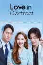 S1. Love in Contract (2022) Season 1 – Episodes 1–16 Zip Complete Dual Audio [Korean ORG & Hindi] HEVC 480p, 720p & 1080p | GDRive fmmbd.com