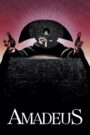 Amadeus (1984) [ENGLISH HQ Dub] WEB-DL 480p, 720p & 1080p | GDRive fmmbd.com
